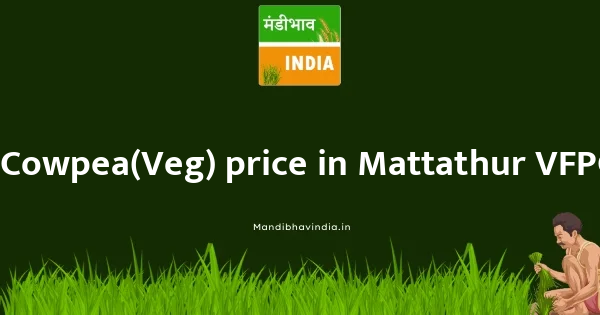 Cowpea(Veg) price